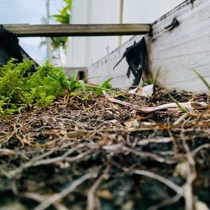 Meet your Posher, Leeana